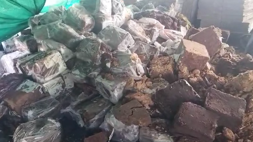 नरसिंहपुर