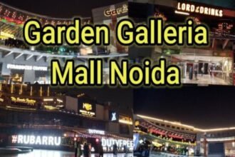 बारिश में खाएं कोदो (2)