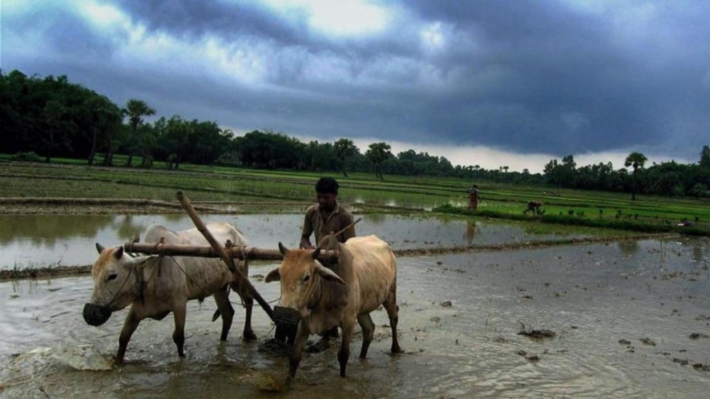 उत्तर प्रदेश में बारिश से किसानों को राहत