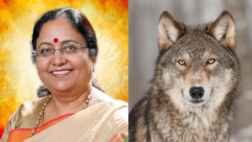 Wolves Attack पर यूपी की BJP मंत्री की फिसली