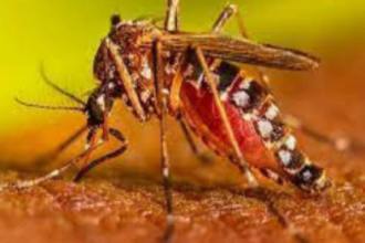 Amethi में डेंगू के 13 मरीज मिले, स्वास्थ्य विभाग ने शुरू किए नियंत्रण के प्रयास