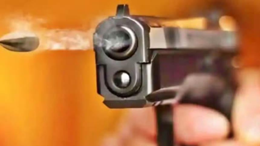 Bihar: सहरसा में घर के बाहर बैठे बुजुर्ग को अपराधियों ने मारी गोली