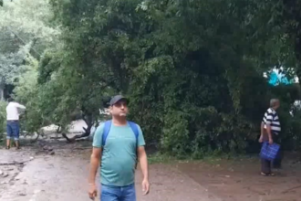 Delhi में झमाझम बारिश के बाद ओखला फेस 1 की मेन रोड पर गिरा पेड़