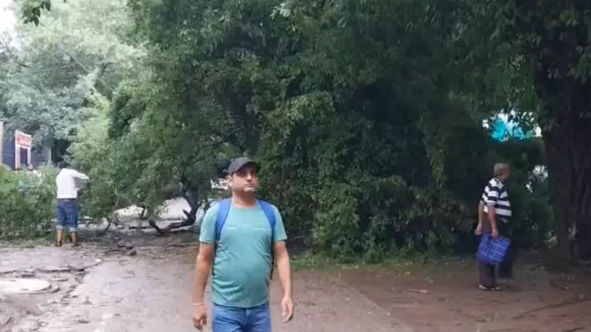 Delhi में झमाझम बारिश के बाद ओखला फेस 1 की मेन रोड पर गिरा पेड़
