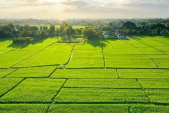 Ghaziabad के 8 गांवों में भूमि खरीद-बिक्री पर लगेगी रोक, किसानों को मिलेगा संरक्षण