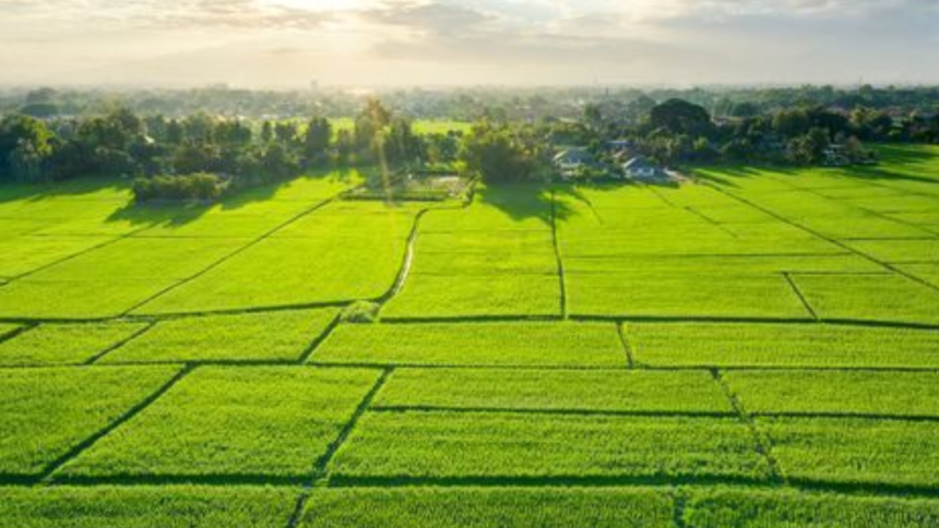 Ghaziabad के 8 गांवों में भूमि खरीद-बिक्री पर लगेगी रोक, किसानों को मिलेगा संरक्षण 1 Ghaziabad के 8 गांवों में भूमि खरीद-बिक्री पर लगेगी रोक, किसानों को मिलेगा संरक्षण