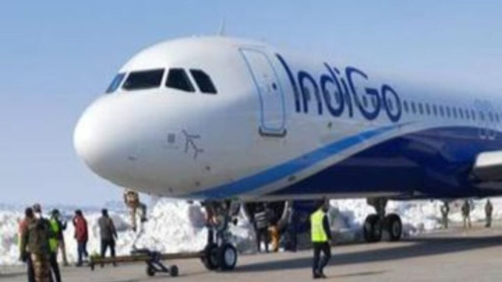 Indigo Flight