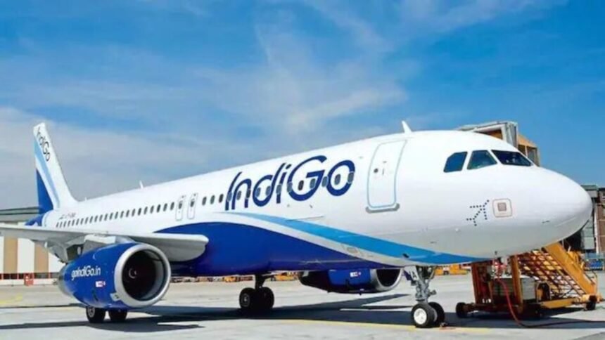 Indigo Flight