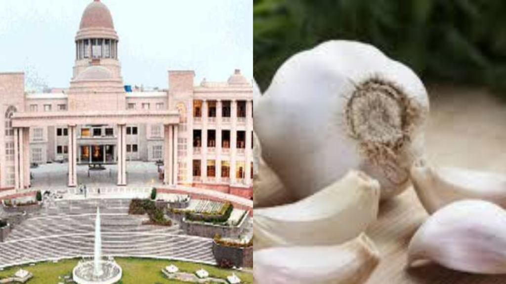 Lucknow: हाईकोर्ट ने चाईनीज लहसुन की बिक्री पर सख्त कार्रवाई जारी की