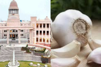 Lucknow: हाईकोर्ट ने चाईनीज लहसुन की बिक्री पर सख्त कार्रवाई जारी की