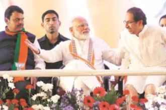 Maharashtra Assembly Elections Maharashtra Assembly Elections: