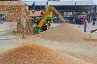 Ministry Agriculture: भारत में 2023-24 फसल वर्ष में चावल और गेहूं के उत्पादन में रिकॉर्ड बढ़ोतरी