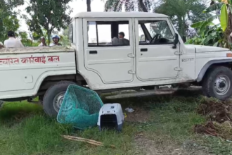 Muzaffarpur में गीदड़ों का हमला जारी, 24 से अधिक लोग घायल, वन विभाग ने लगाया पिंजरा और जारी की चेतावनी