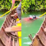 Nainital झील में गिरी महिला, नविक ने सूझबूझ से बचाई उसकी जान