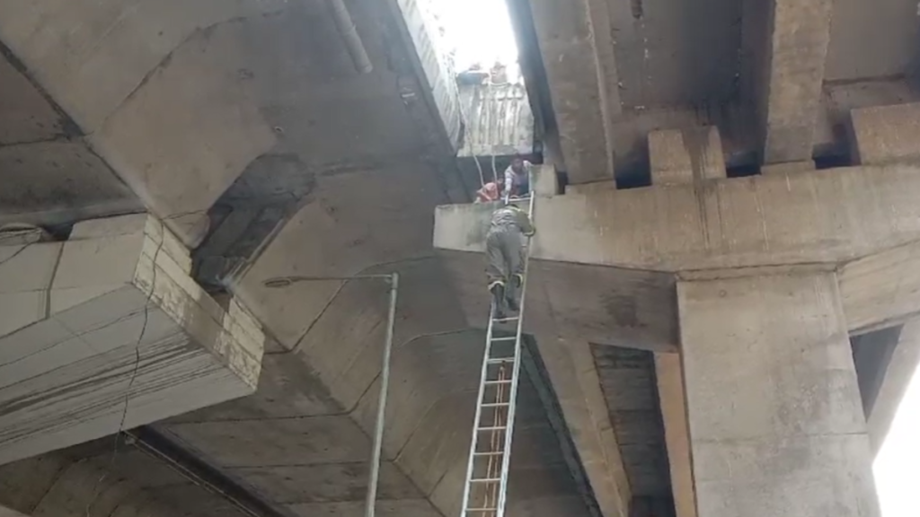 Noida Sector 25 के सामने एलिवेटेड रोड पर स्कूटी सवार युवती का एक्सीडेंट