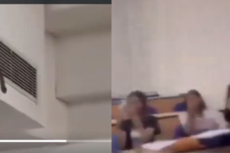 Noida की एमिटी यूनिवर्सिटी में क्लास के दौरान घुसा नागराज