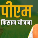 PM Kisan 18वीं किस्त स्टेटस: जानें कैसे चेक करें आपका पैसा आया या नहीं? 7 PM Kisan 18वीं किस्त स्टेटस जानें कैसे चेक करें आपका पैसा आया या नहीं