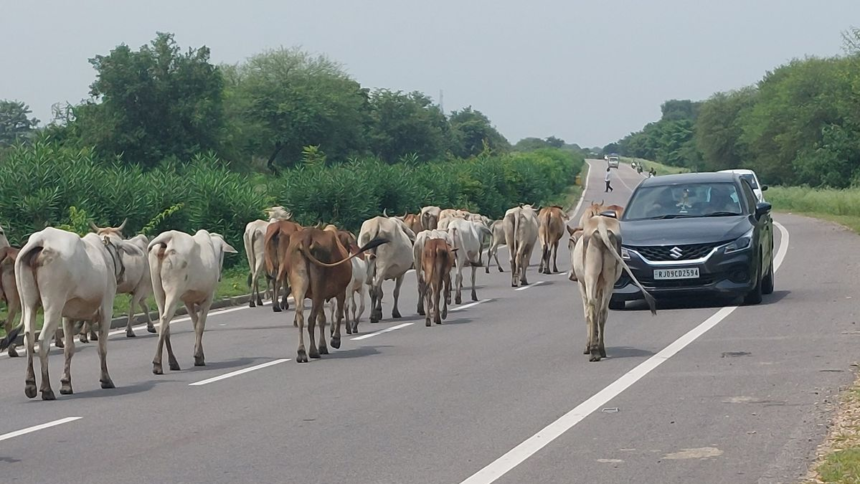 Rajasthan