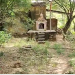 Rajasthan: अलवर के प्रताप बंध में अजगर ने निगल लिया कुत्ता, स्थानीय लोग भयभीत 3 Rajasthan: अलवर के प्रताप बंध में अजगर ने निगल लिया कुत्ता