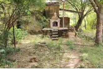 Rajasthan: अलवर के प्रताप बंध में अजगर ने निगल लिया कुत्ता