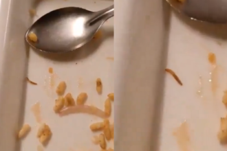 Greater Noida: IILM यूनिवर्सिटी में खाने में निकले कीड़े, वीडियो हुआ वायरल