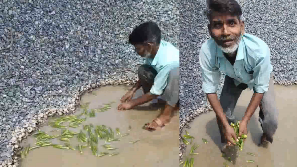 Kanpur: गंदे पानी से सब्जी धोते हुए सब्जी वाले का वीडियो हुआ वायरल, मच गया हंगामा