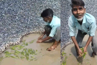 Kanpur: गंदे पानी से सब्जी धोते हुए सब्जी वाले का वीडियो हुआ वायरल, मच गया हंगामा