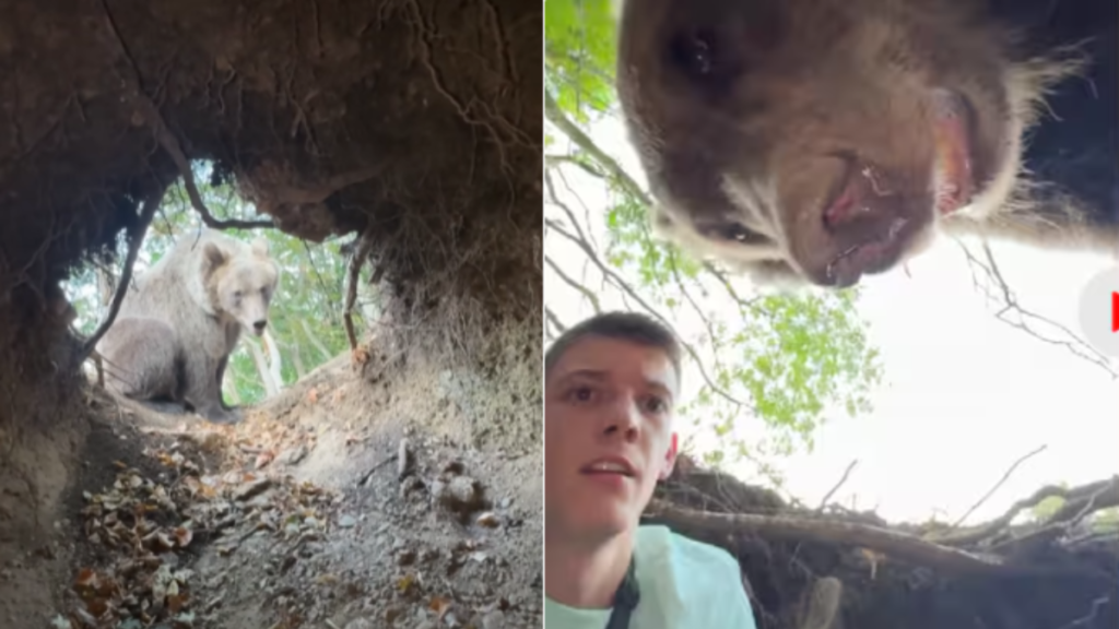 Viral Videos: भालू की मांद में घुस गया शख्स, फिर हुआ मौत से सीधा सामना, वीडियो देखकर दिल दहल जाएगा