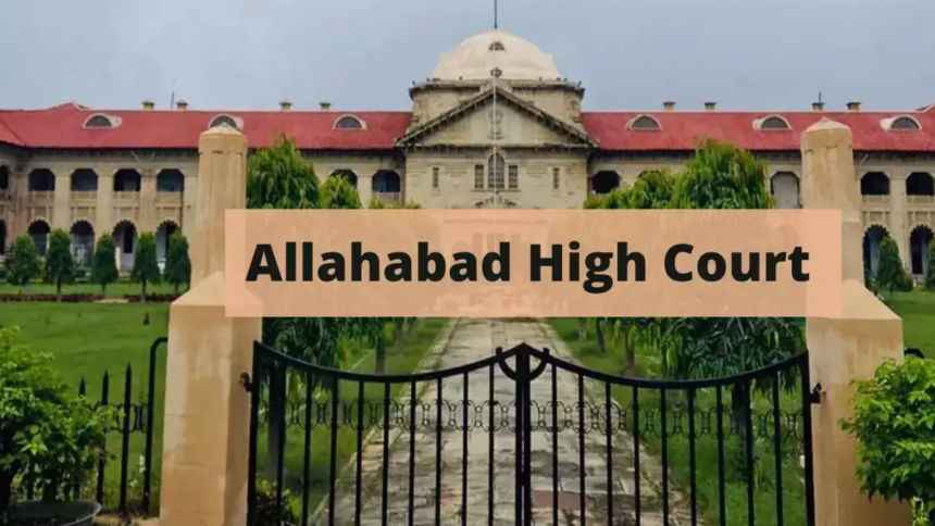 DM के नाम के साथ 'माननीय' लगाने पर Allahabad High Court की कड़ी आपत्ति, राज्य सरकार से मांगा जवाब