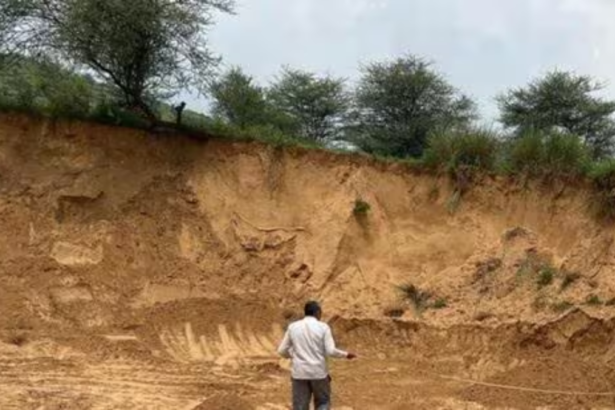 हरियाणा ग्रीन मेनिफेस्टो-2024: