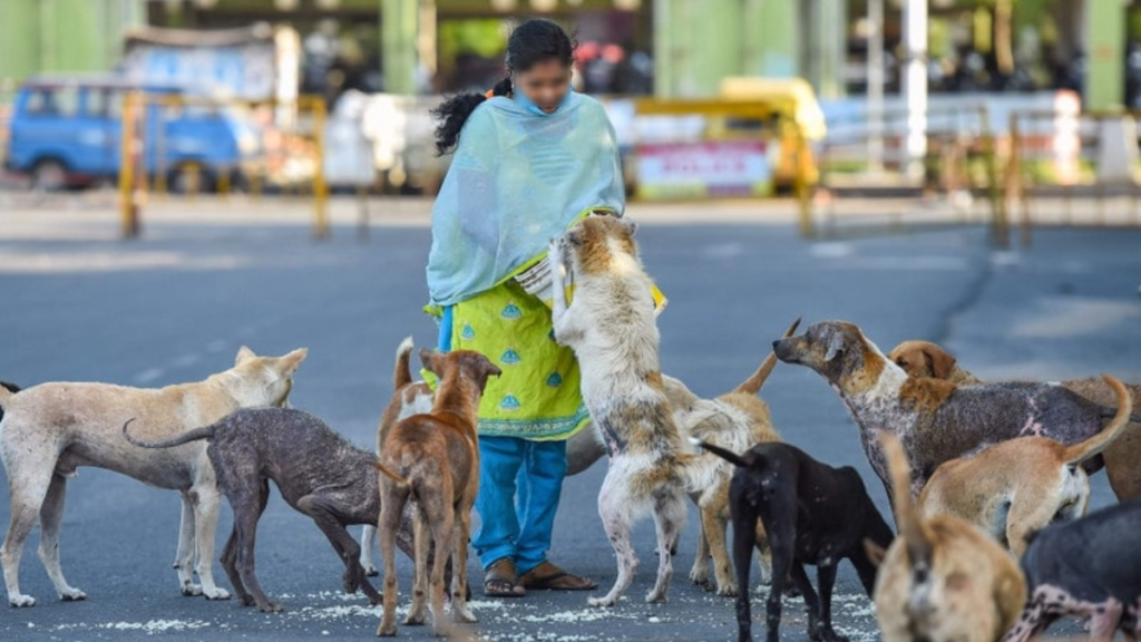 Ghaziabad: महिला का आरोप, "आवारा कुत्तों को खाना खिलाने पर भीड़ ने घर के बाहर किया हंगामा"