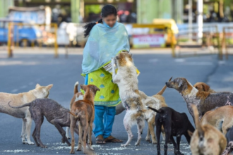 Ghaziabad: महिला का आरोप, "आवारा कुत्तों को खाना खिलाने पर भीड़ ने घर के बाहर किया हंगामा"