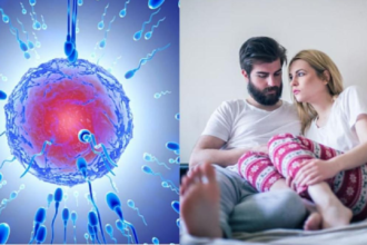 नई रिसर्च का दावा: तनाव के बाद स्पर्म की मूवमेंट