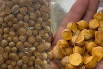 लहसुन बना महंगाई का नया सितारा, Patna में ₹2400 प्रति किलो में बिक रहा खास लहसुन