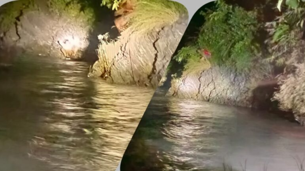 Uttarkashi: यमुना नदी में गिरी ऑल्टो कार, दो लोग गंभीर घायल