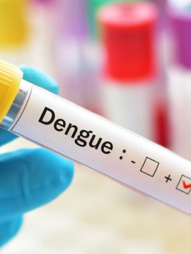 dengue diet increase platelets with these foods