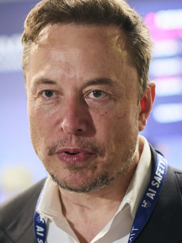 elon musk (2)