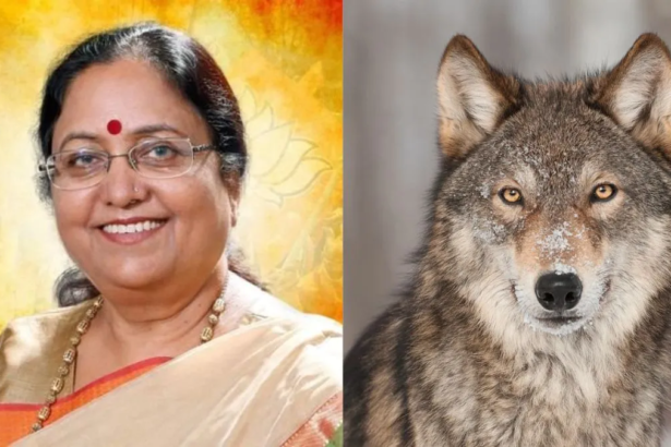 Wolves Attack पर यूपी की BJP मंत्री की फिसली