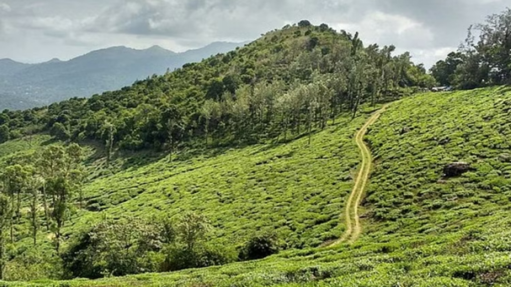 वायनाड, केरल