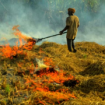 Delhi: वायु गुणवत्ता प्रबंधन आयोग ने पराली जलाने के खिलाफ उठाए कदम