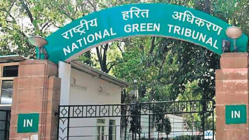 Delhi: NGT ने वसंत कुंज के मछली तालाब प्रदूषण मामले में डीजेबी