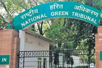 Delhi: NGT ने वसंत कुंज के मछली तालाब प्रदूषण मामले में डीजेबी