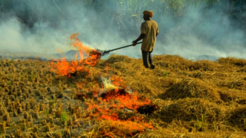 Delhi: वायु गुणवत्ता प्रबंधन आयोग ने पराली जलाने के खिलाफ उठाए कदम