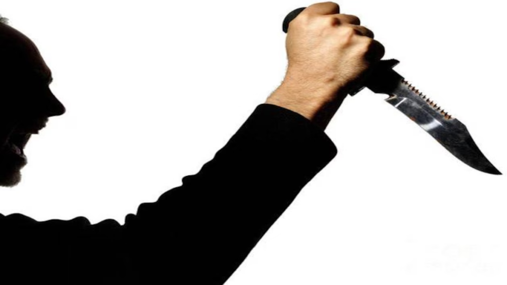 Road Rage: दशहरा मेला देखने गए भाइयों पर रोडरेज में चाकू से हमला