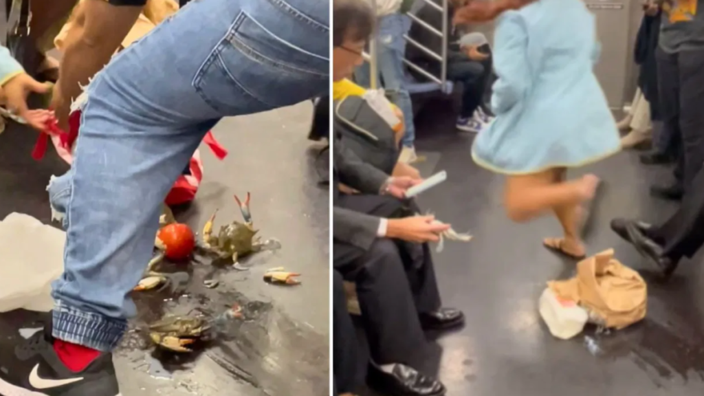 Viral Video: मेट्रो में महिला के बैग से निकलकर इधर-उधर भागने लगे जिंदा केकड़े, मची अफरा-तफरी