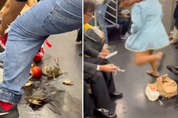 Viral Video: मेट्रो में महिला के बैग से निकलकर इधर-उधर भागने लगे जिंदा केकड़े, मची अफरा-तफरी