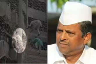 Maharashtra: विधायक व डिप्टी स्पीकर नरहरी झिरवल धनगर समाज को ST कोटे से आरक्षण की मांग कर मंत्रालय की तीसरी मंजिल से कूदे