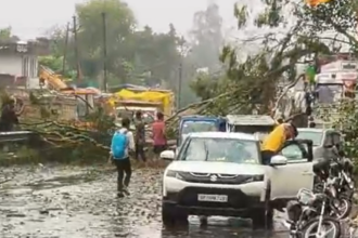Kanpur: महाराजपुर में तेज आंधी-तूफान से दर्जनों पेड़ गिरे, बिजली आपूर्ति ठप
