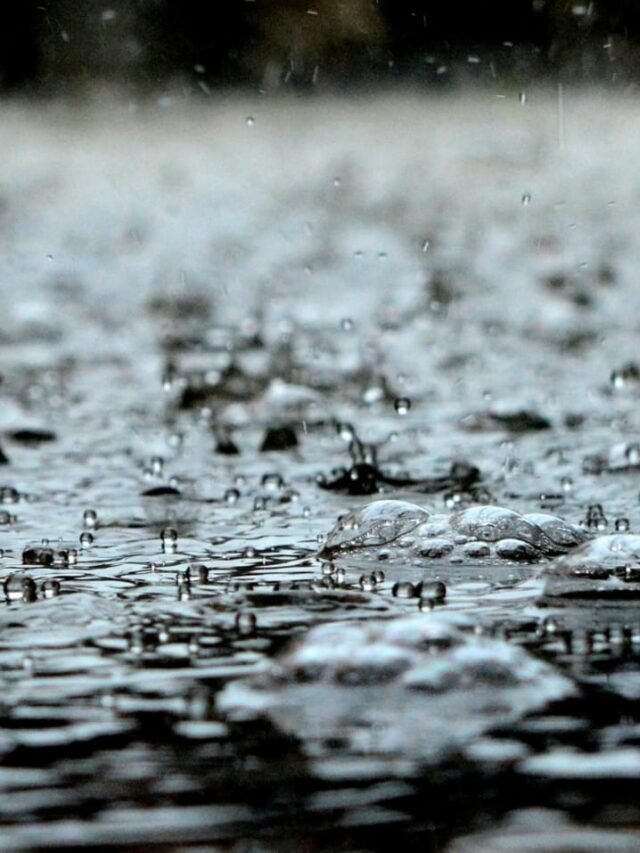 world-highest-annual-rainfall-record