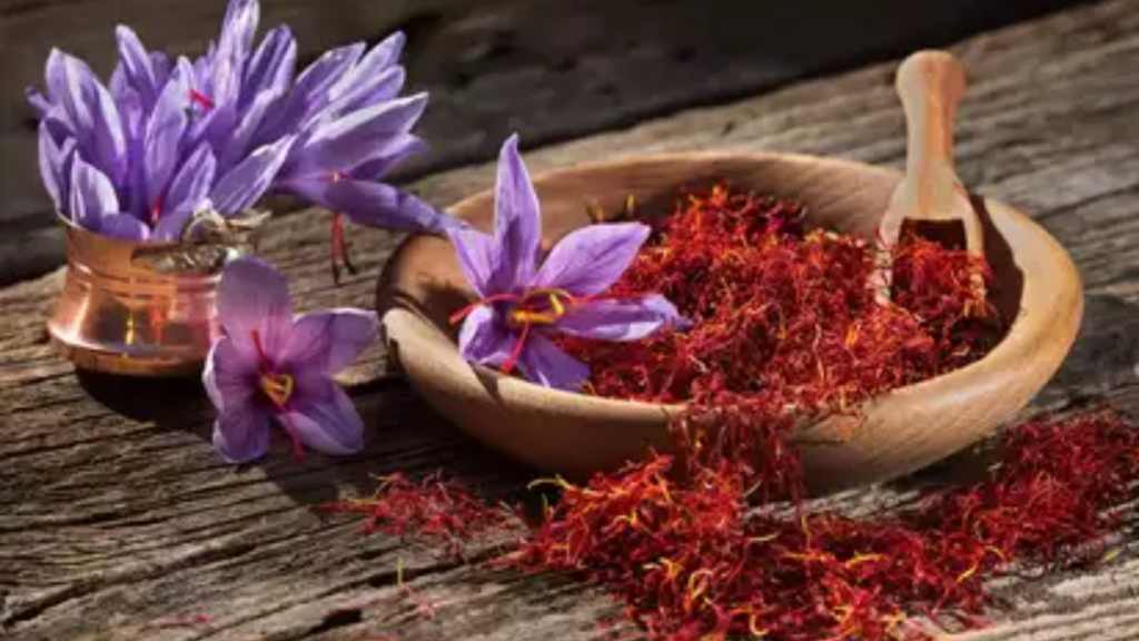 4 लाख की केसर घर में उगाई, Kanpur के रियल एस्टेट कारोबारी ने पेश की मिसाल